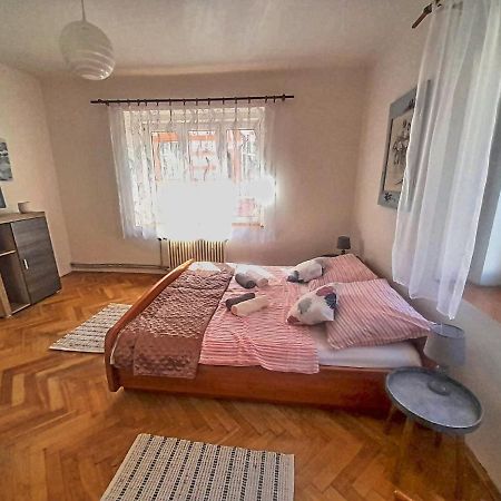 Apartman Isabel Decin Exterior photo